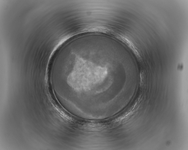 X0000094900780200712201133