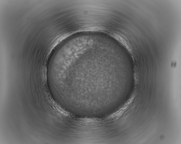 X0000094900781200712201133