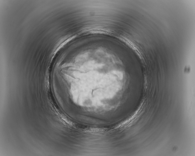 X0000094900782200712201133