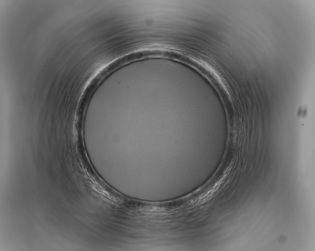 X0000094900783200712201133