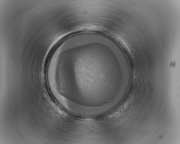 X0000094900784200712201133