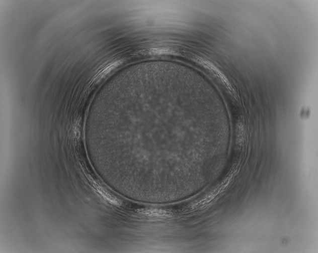 X0000094900785200712201133