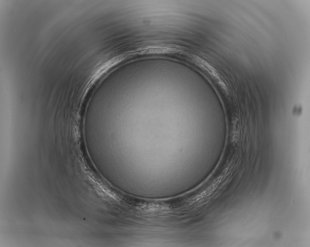 X0000094900786200712201133