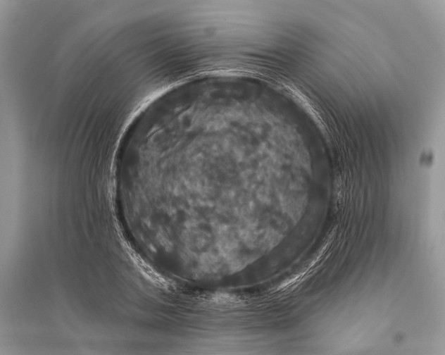 X0000094900787200712201133