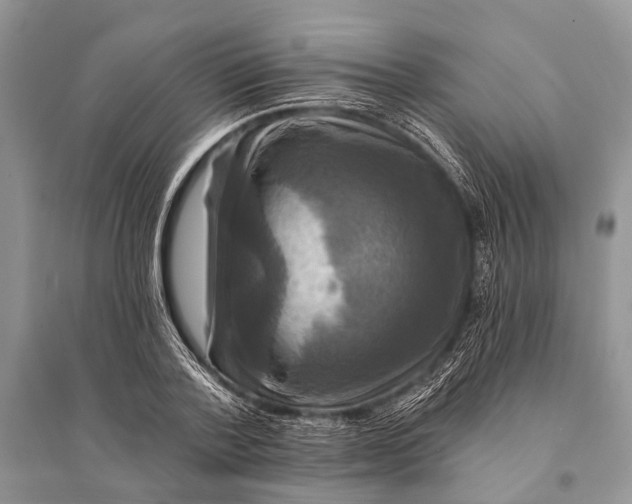 X0000094900788200712201133