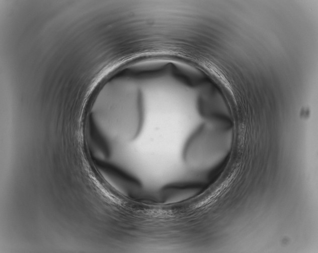 X0000094900789200712201133