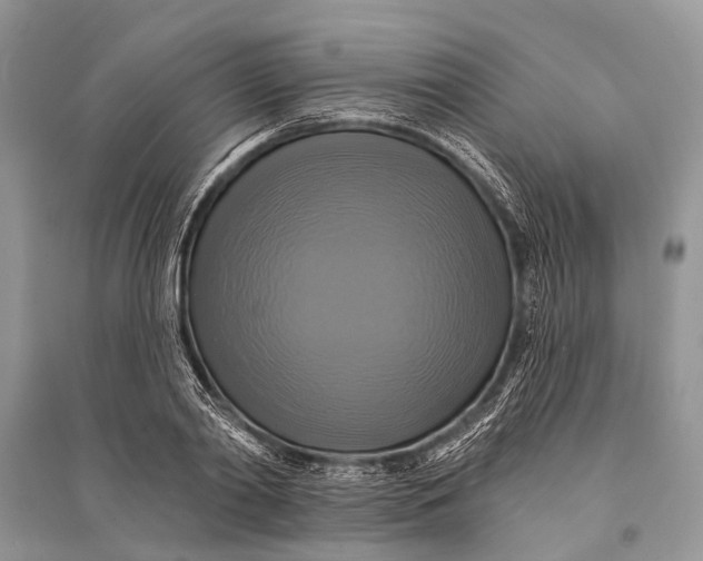 X0000094900790200712201133