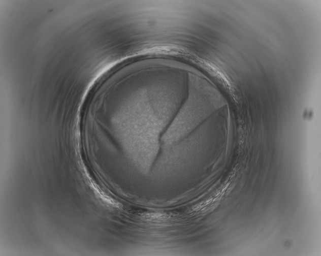 X0000094900792200712201133