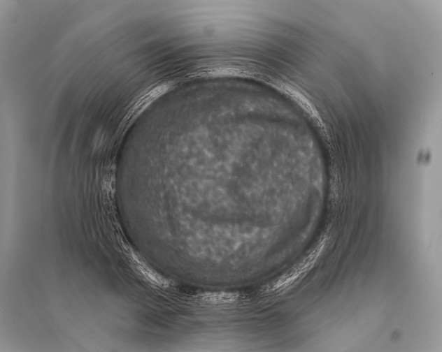 X0000094900793200712201133