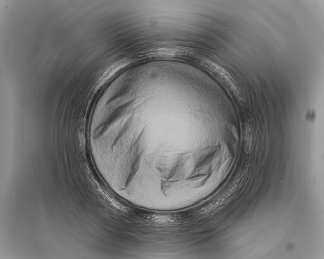 X0000094900794200712201133