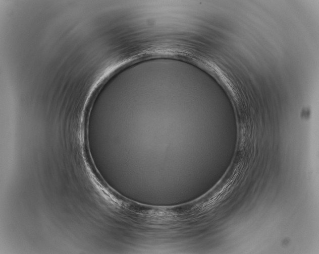 X0000094900795200712201133