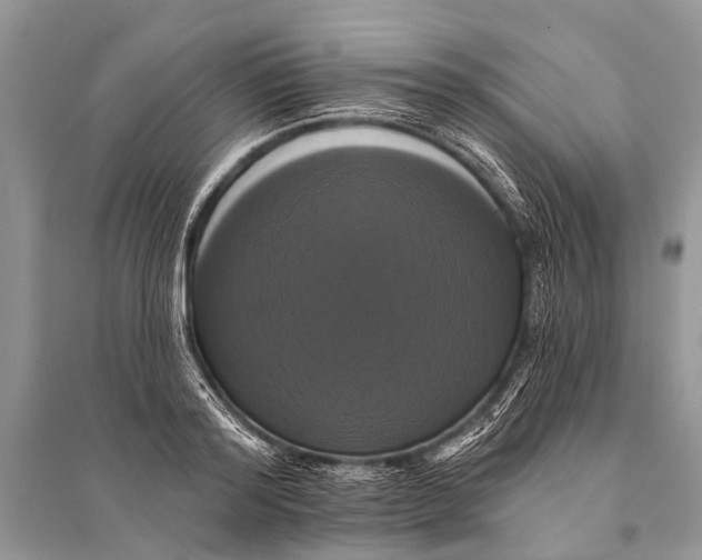 X0000094900796200712201133