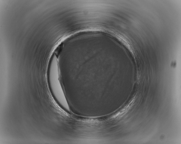 X0000094900797200712201133