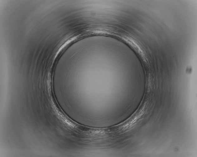 X0000094900798200712201133