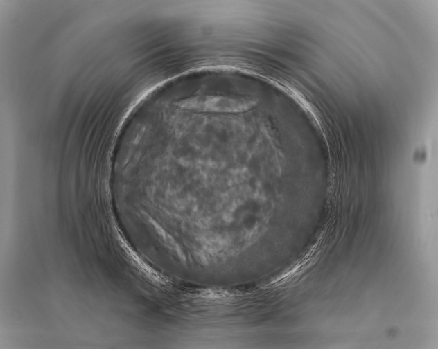 X0000094900799200712201133