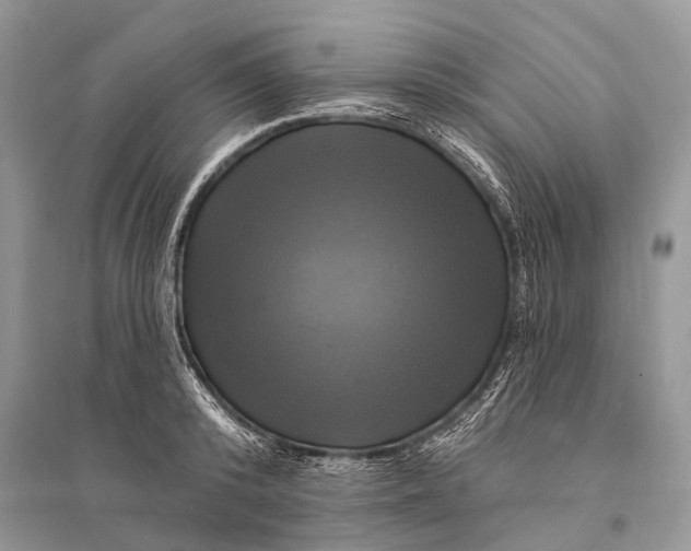 X0000094900800200712201133