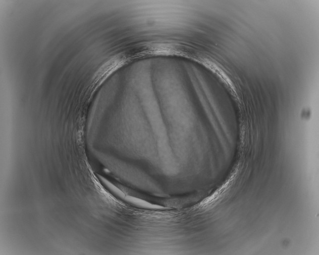 X0000094900801200712201133