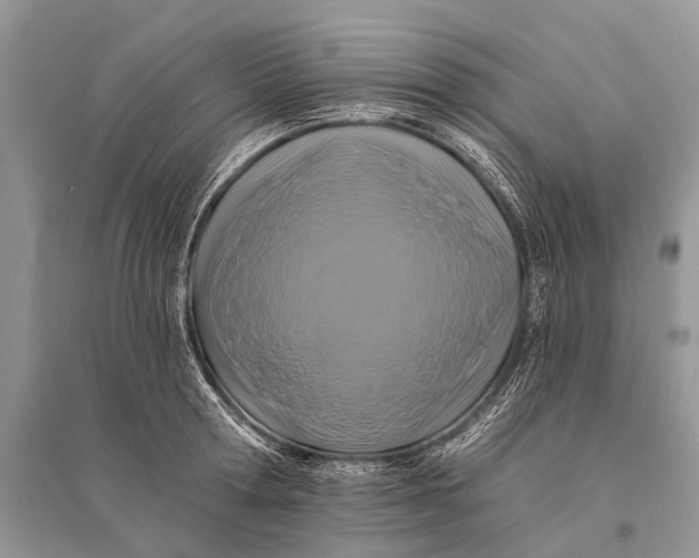 X0000094900802200712201133