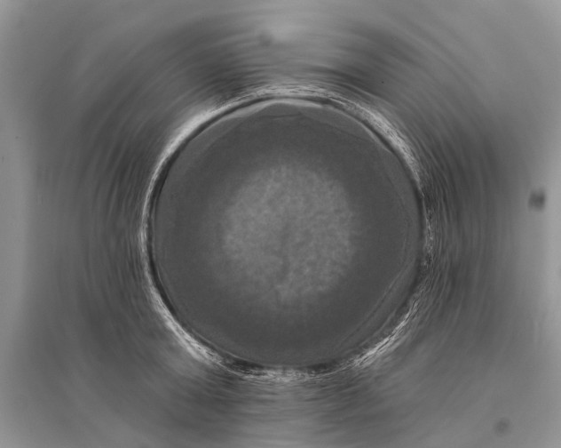 X0000094900803200712201133