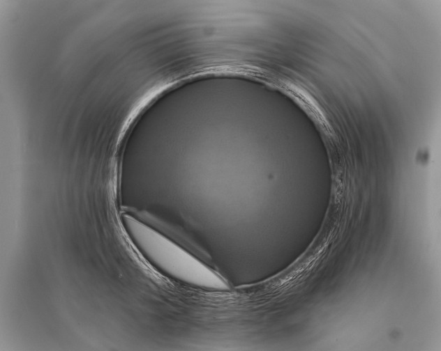 X0000094900804200712201133