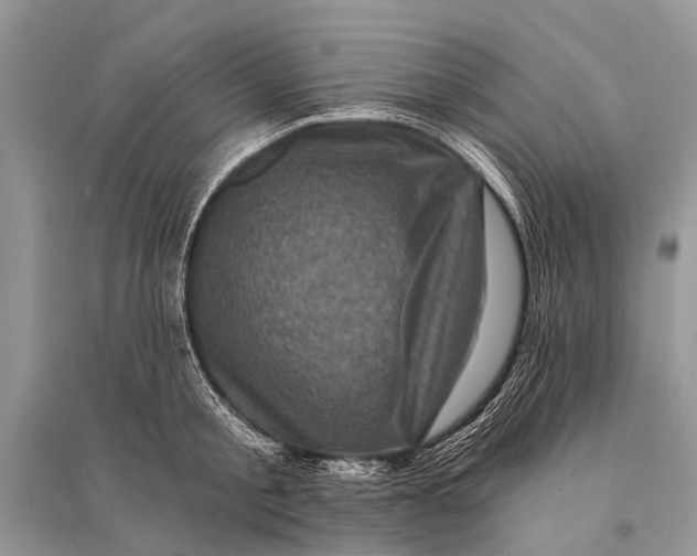 X0000094900805200712201133