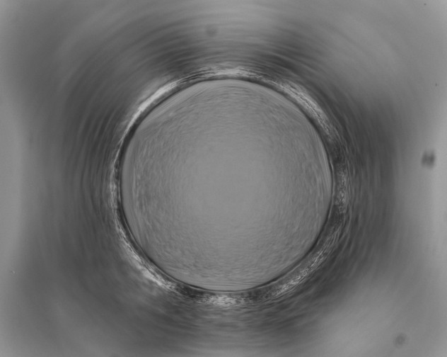 X0000094900806200712201133