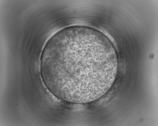 X0000094900807200712201133