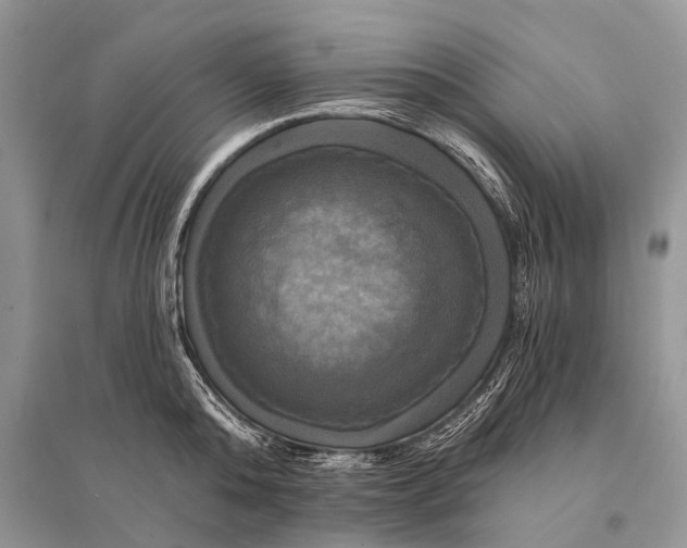 X0000094900808200712201133