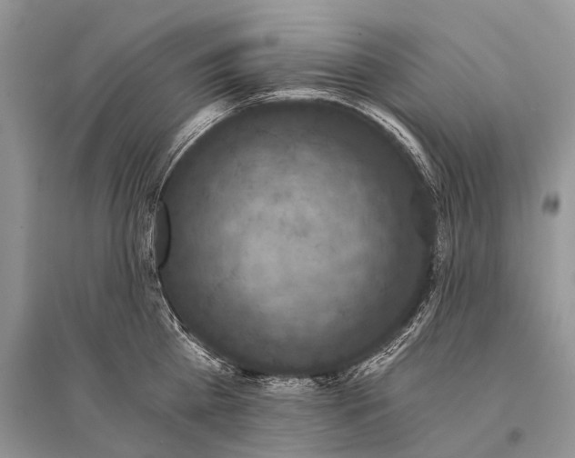 X0000094900809200712201133