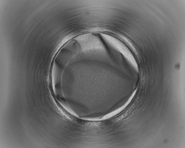 X0000094900810200712201133