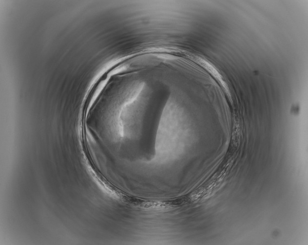 X0000094900811200712201133