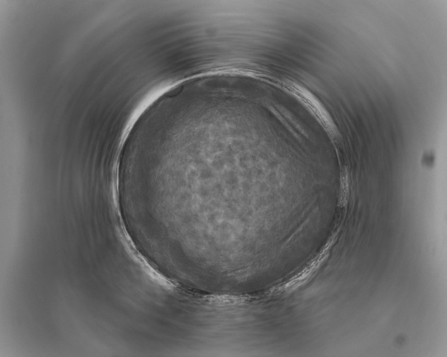 X0000094900812200712201133