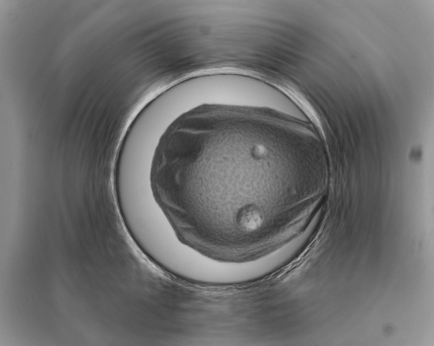 X0000094900813200712201133