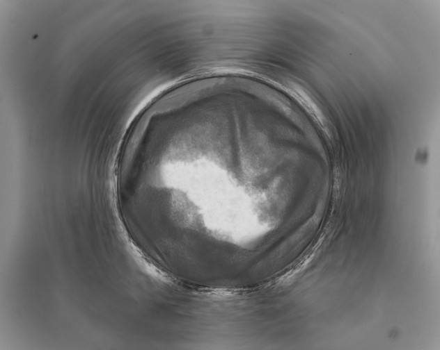 X0000094900814200712201133