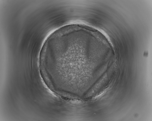 X0000094900815200712201133