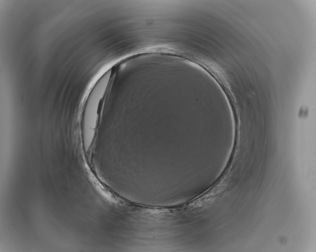 X0000094900816200712201133