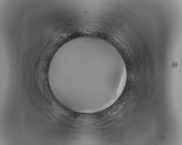 X0000094900817200712201132