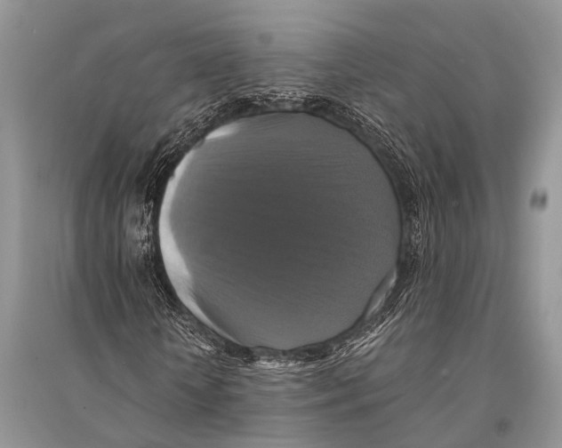 X0000094900818200712201132