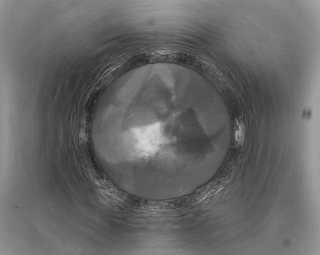 X0000094900819200712201132