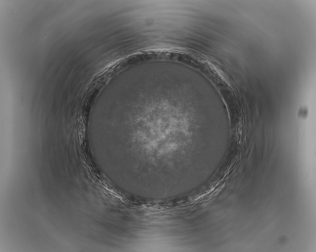 X0000094900821200712201132