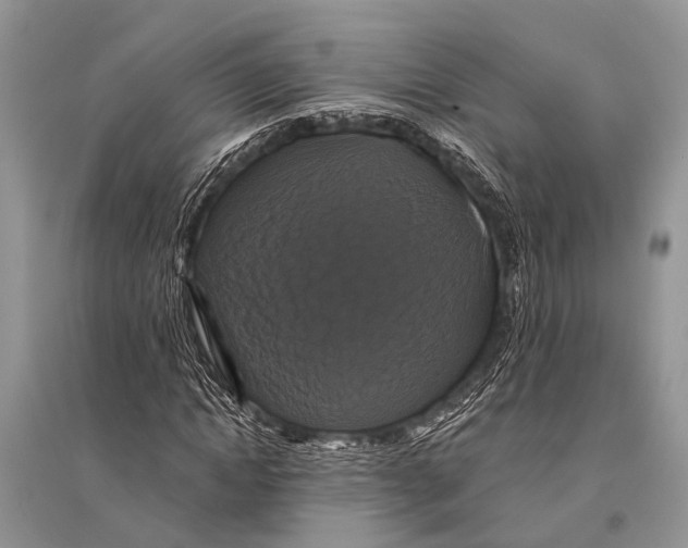 X0000094900822200712201132