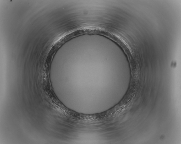 X0000094900823200712201132