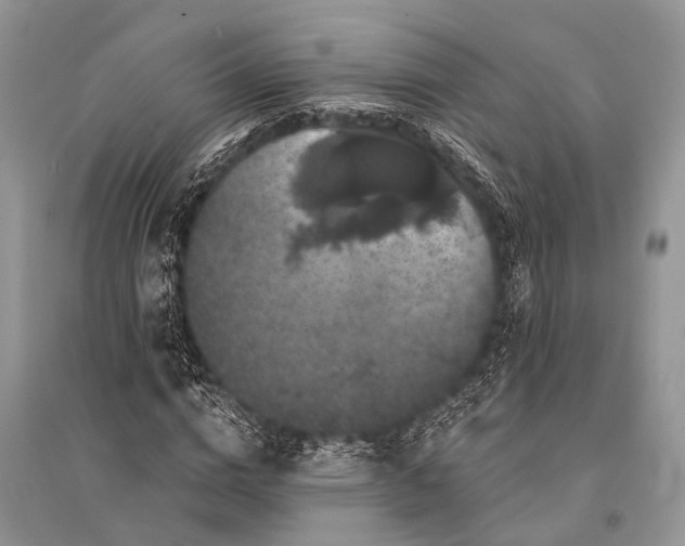 X0000094900824200712201132