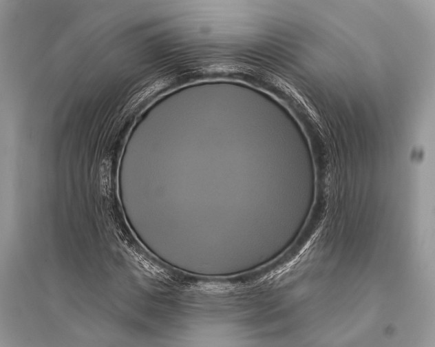 X0000094900825200712201132