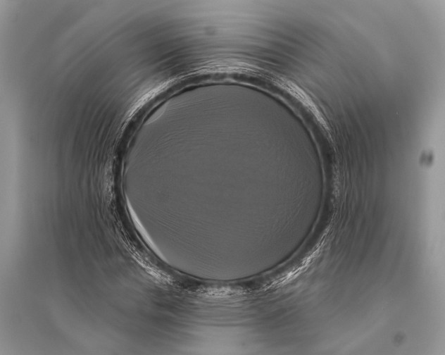 X0000094900826200712201132