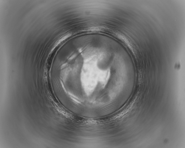 X0000094900827200712201132