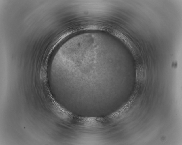 X0000094900828200712201132