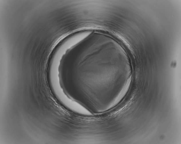 X0000094900829200712201132