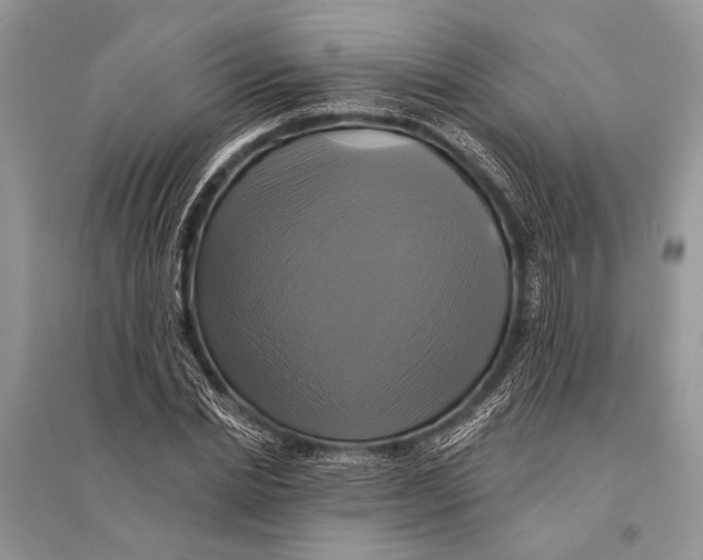 X0000094900830200712201132