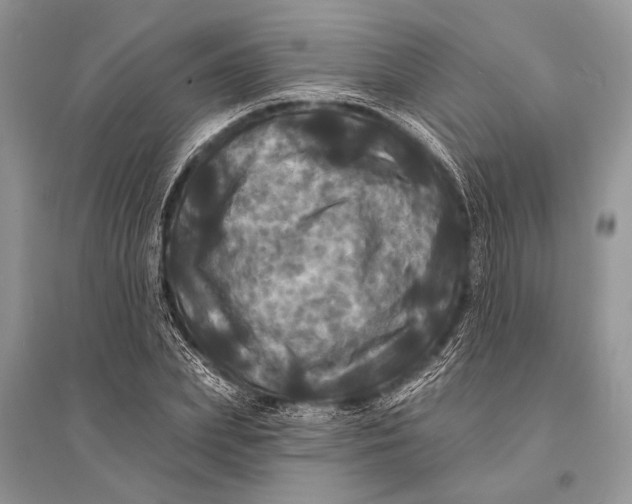 X0000094900831200712201132